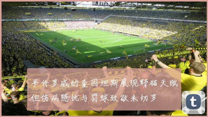 平价罗威的奎因坦斯展现野猫天赋但伤病隐忧与罚球致敬米切罗